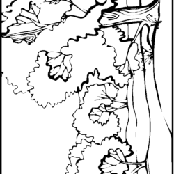 Desenho de Paisagens para colorir e imprimir: número 6