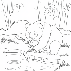 Desenho de Panda para colorir e imprimir: número 11