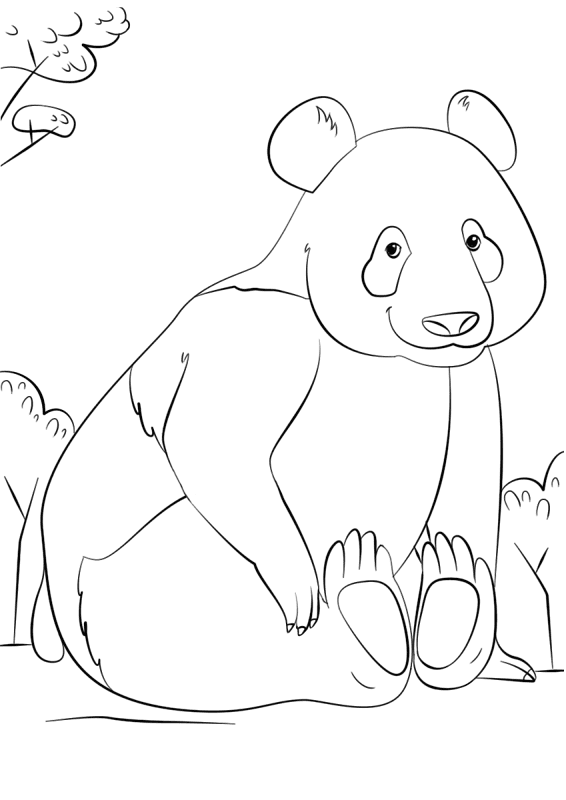 Desenho de Panda Gigante para colorir e imprimir: número 10