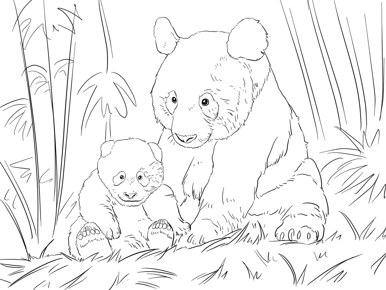 Desenho de Panda Gigante para colorir e imprimir: número 24