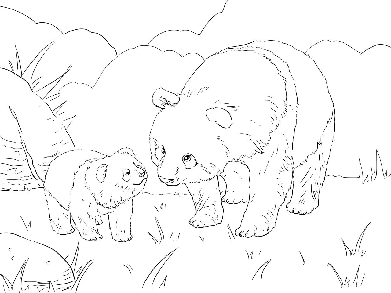 Desenho de Panda Gigante para colorir e imprimir: número 41