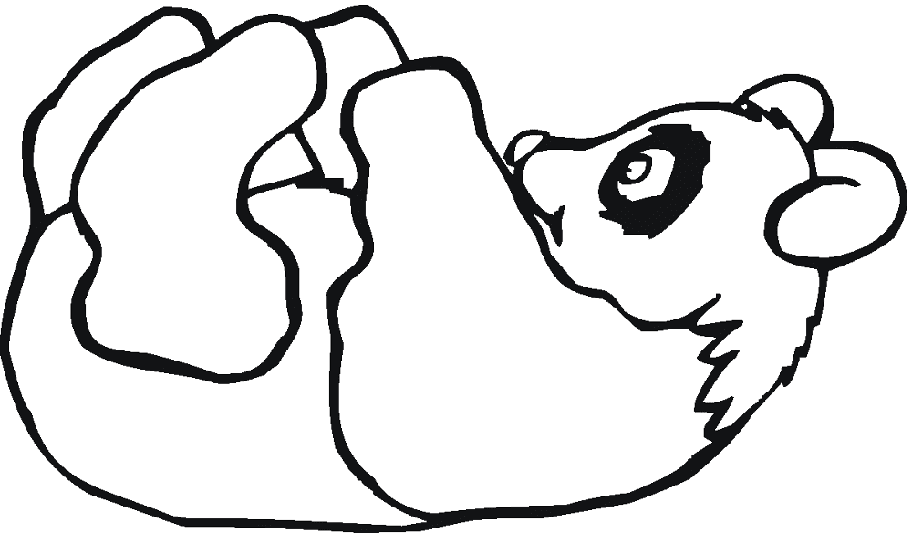 Desenho de Panda Gigante para colorir e imprimir: número 43