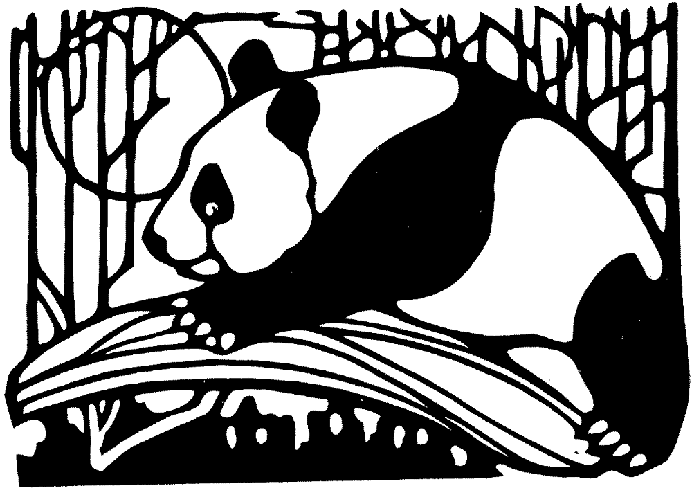 Desenho de Panda Gigante para colorir