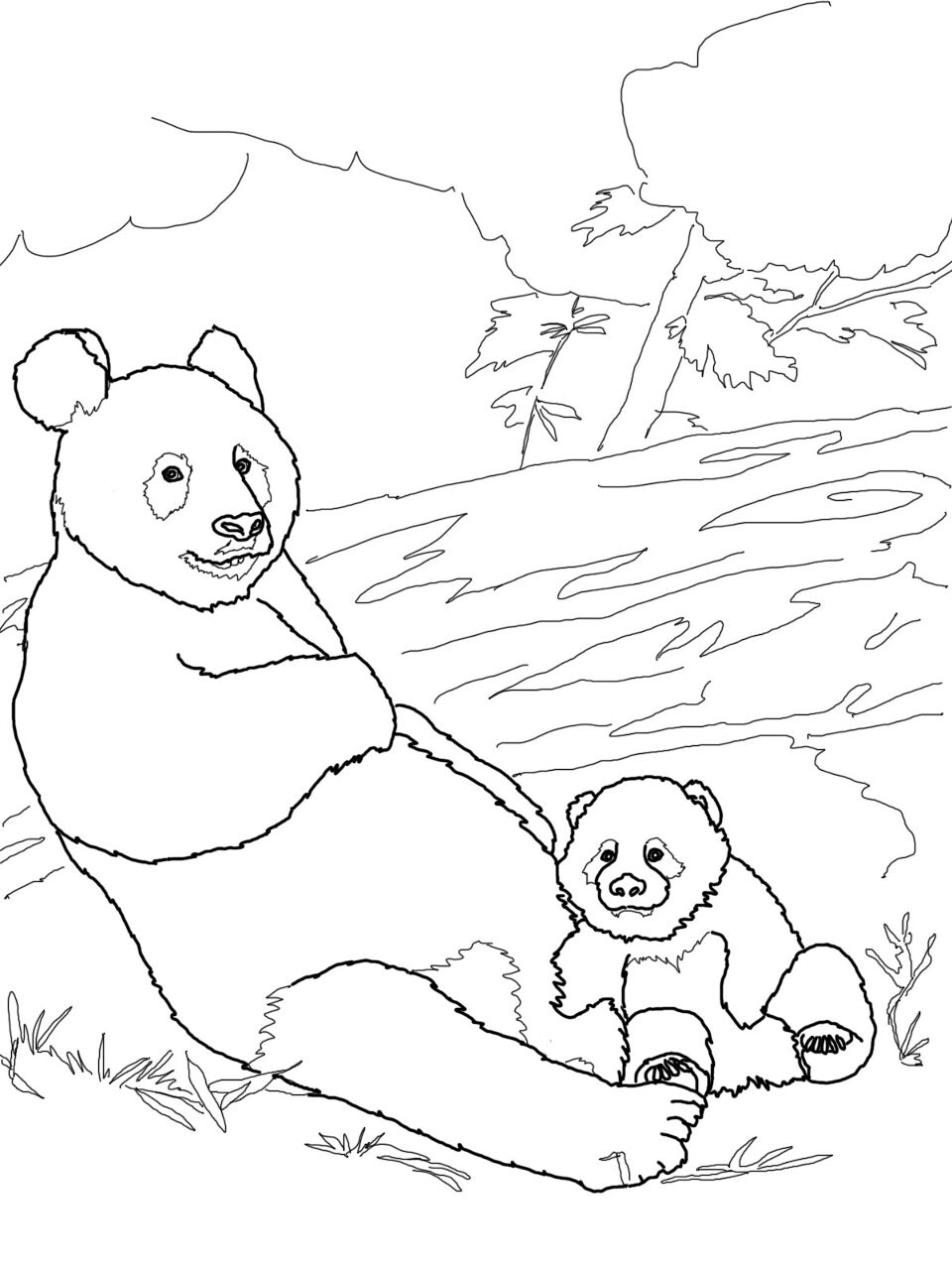 Desenho de Panda Gigante para colorir