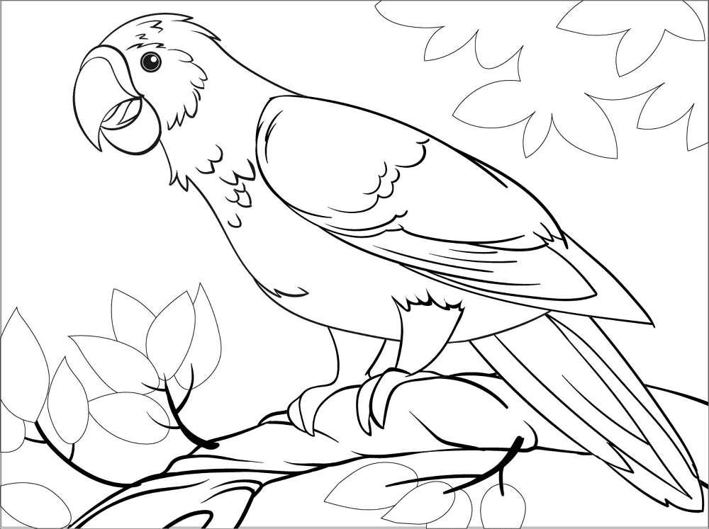 Desenho de Papagaios para colorir e imprimir: número 3