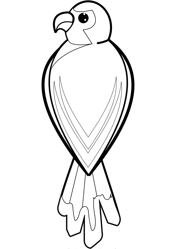 Desenho de Papagaios para colorir e imprimir: número 5