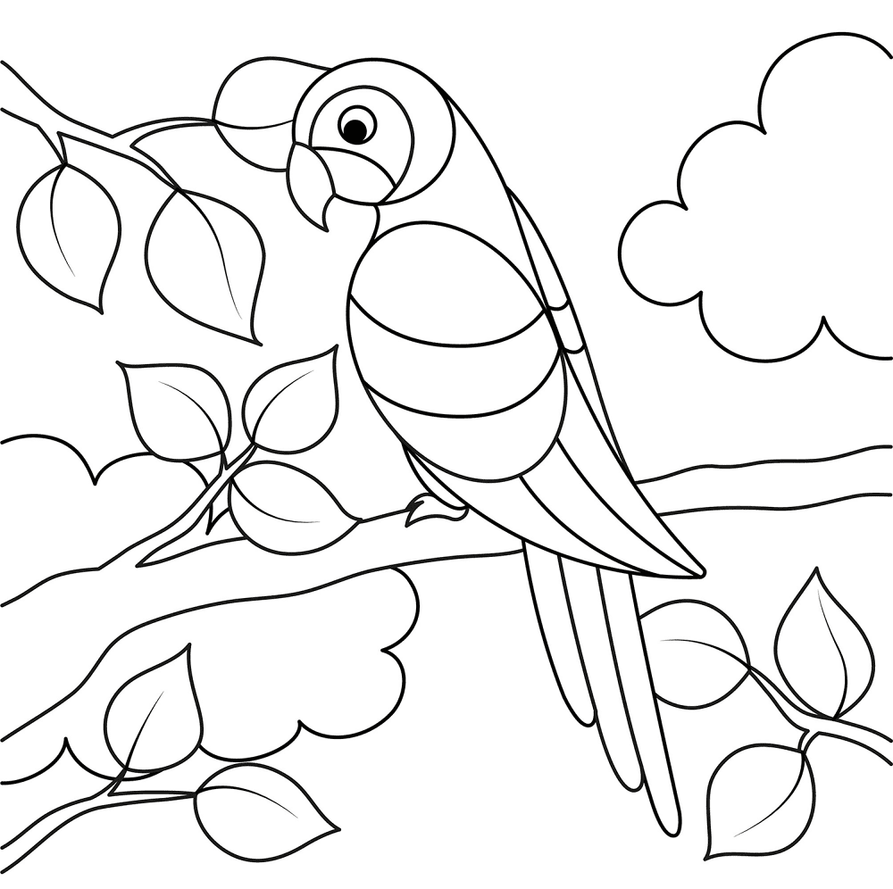 Desenho de Papagaios para colorir e imprimir: número 6