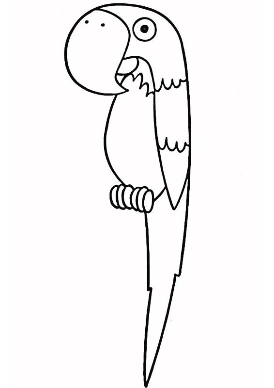 Desenho de Papagaios para colorir e imprimir: número 8
