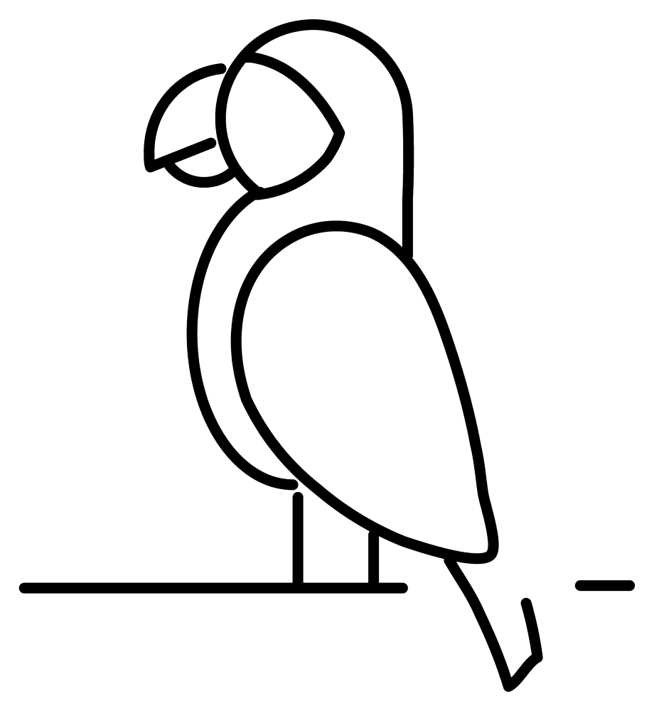 Desenho de Papagaios para colorir e imprimir: número 11