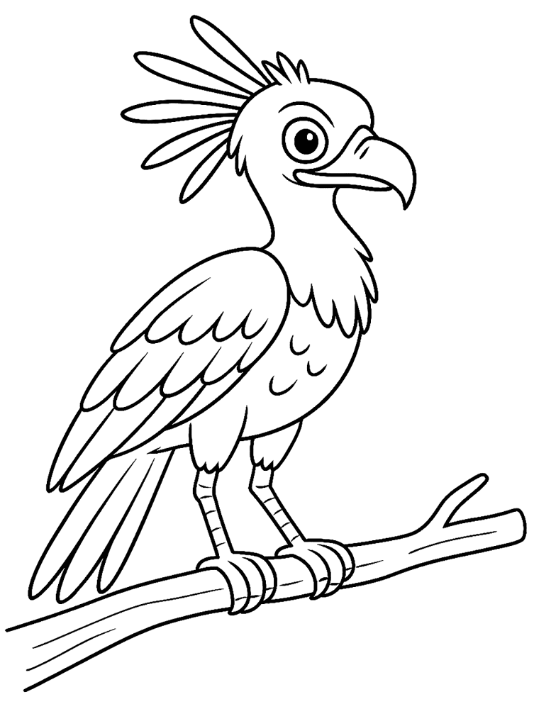 Desenho de Papagaios para colorir e imprimir: número 12