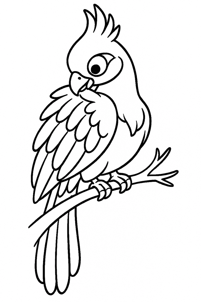Desenho de Papagaios para colorir e imprimir: número 13
