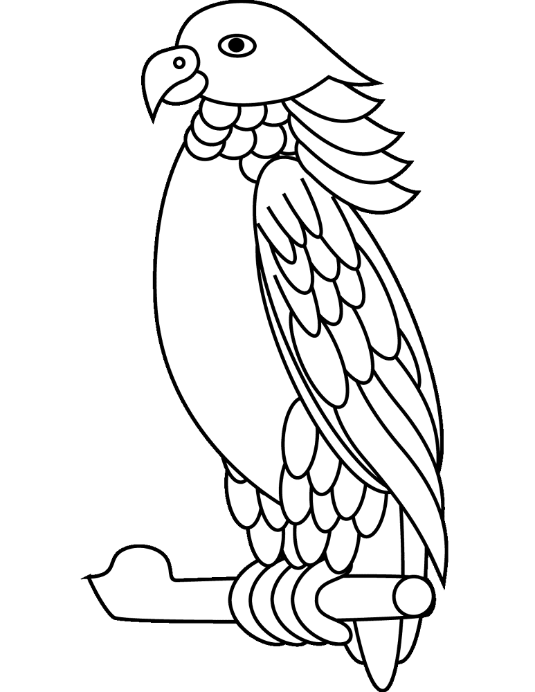 Desenho de Papagaios para colorir e imprimir: número 14