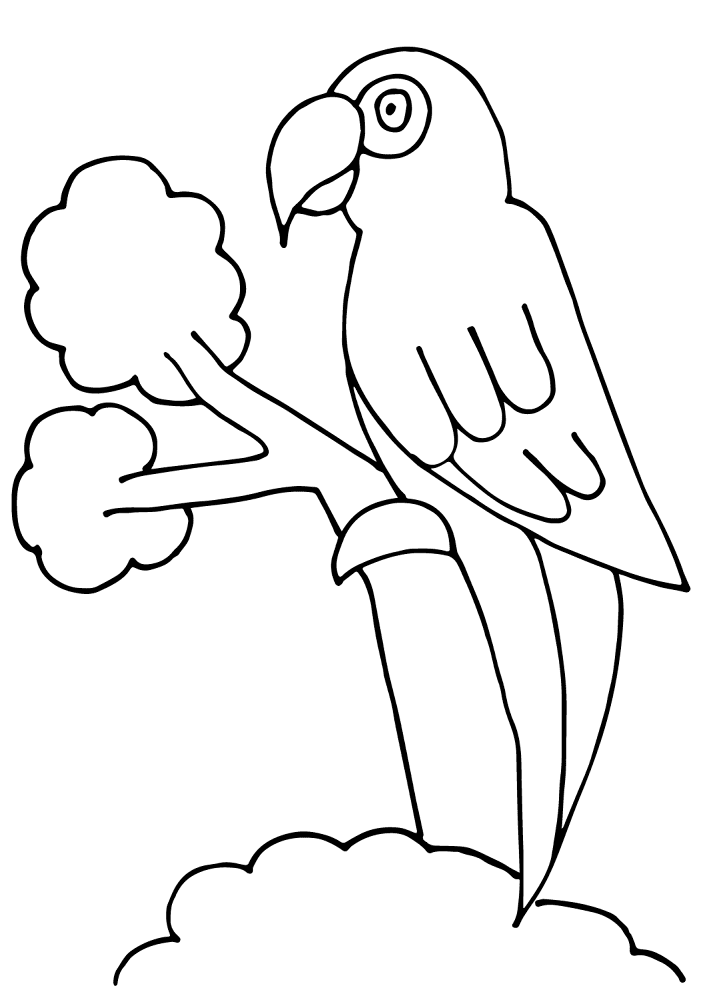 Desenho de Papagaios para colorir e imprimir: número 15