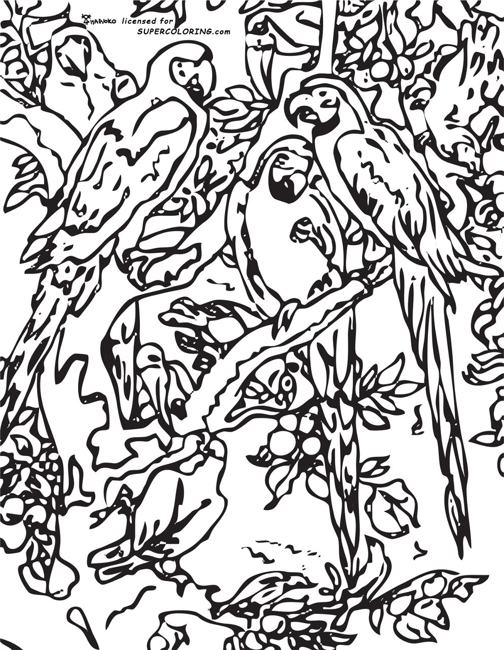 Desenho de Papagaios para colorir e imprimir: número 20