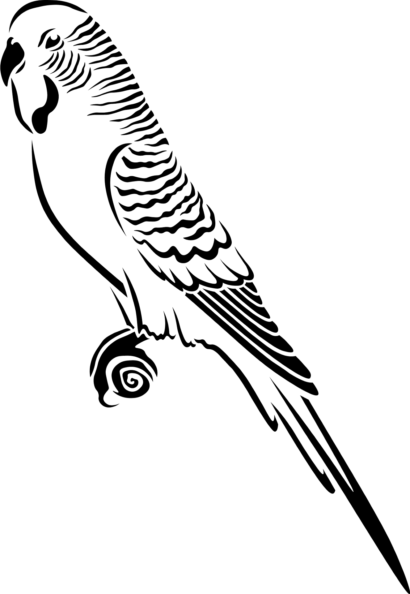 Desenho de Papagaios para colorir e imprimir: número 26