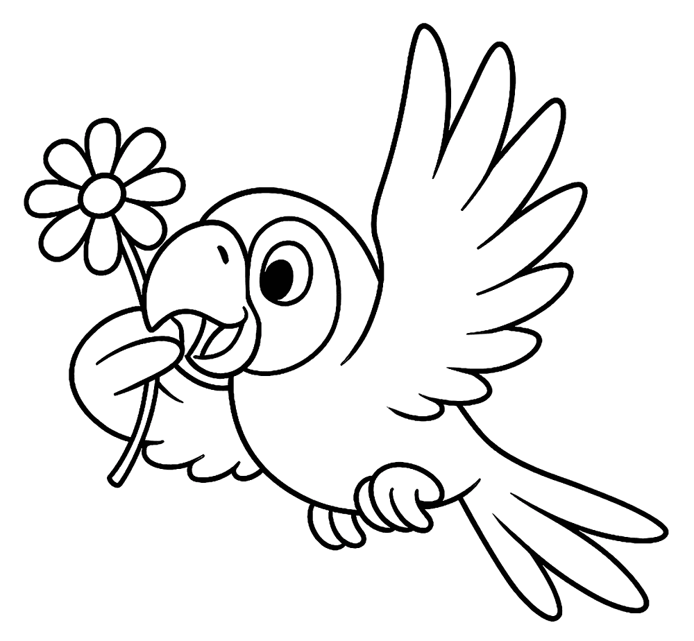 Desenho de Papagaios para colorir e imprimir: número 30