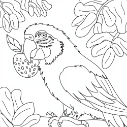 Desenho de Papagaios para colorir e imprimir: número 47