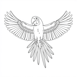 Desenho de Papagaios para colorir