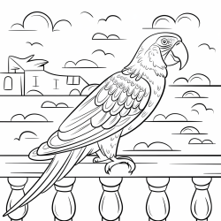 Desenho de Papagaios para colorir