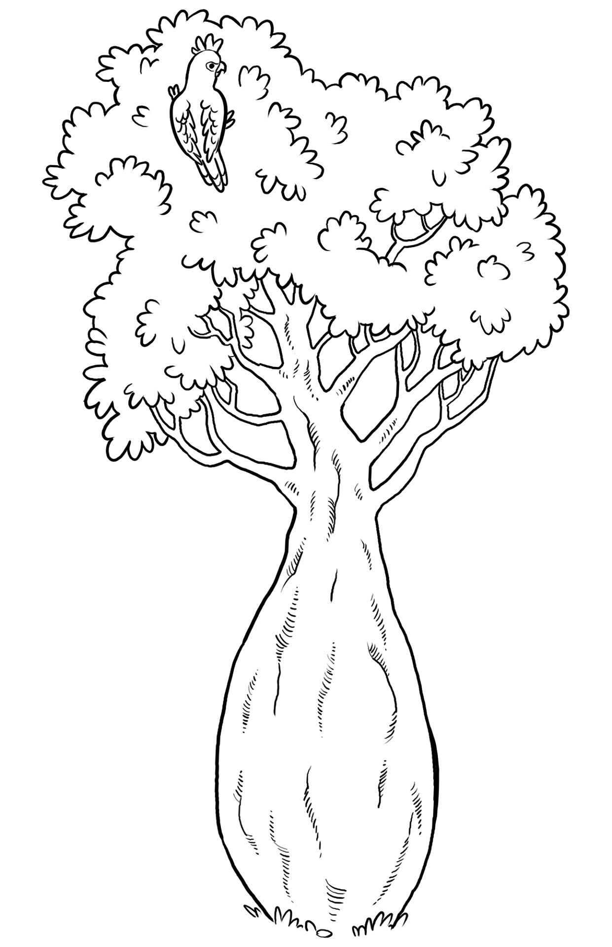 Desenho de Papagaios para colorir