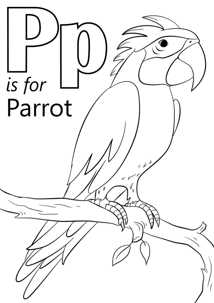 Desenho de Papagaios para colorir