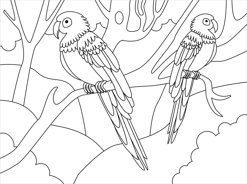 Desenho de Papagaios para colorir