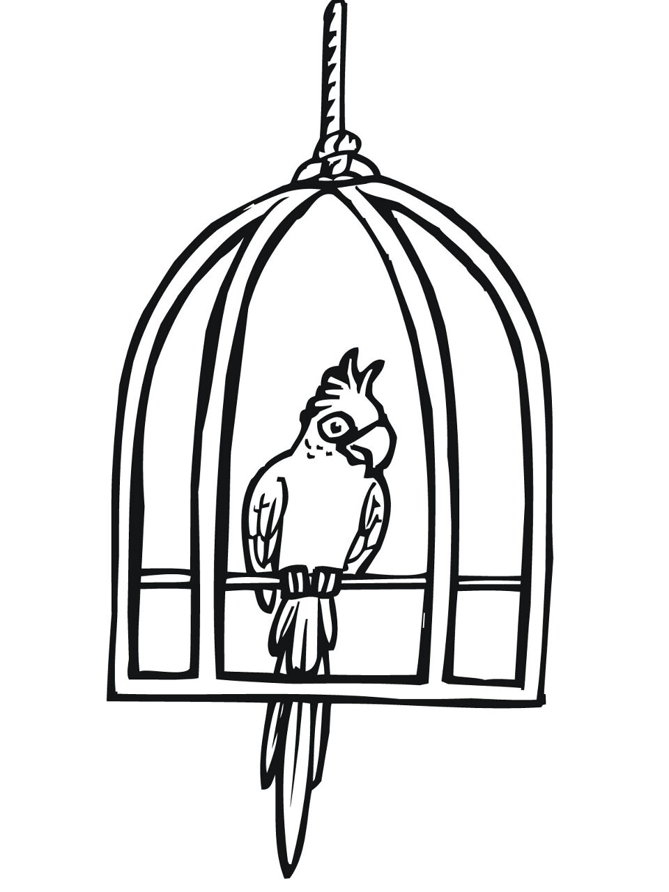 Desenho de Papagaios para colorir