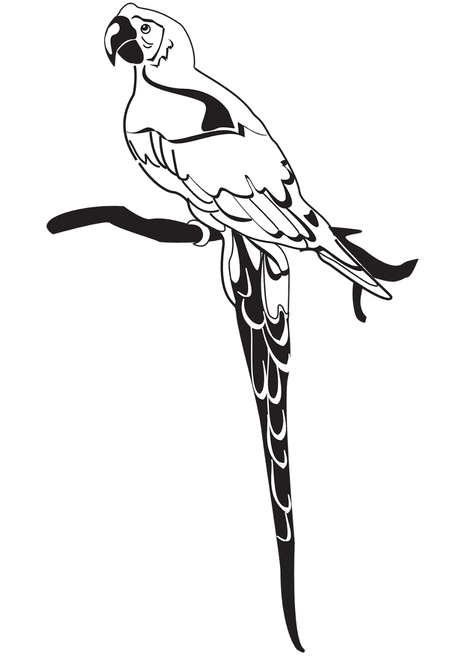 Desenho de Papagaios para colorir