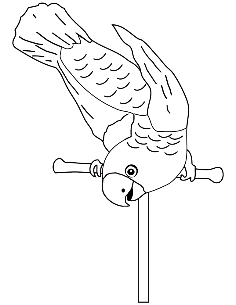 Desenho de Papagaios para colorir