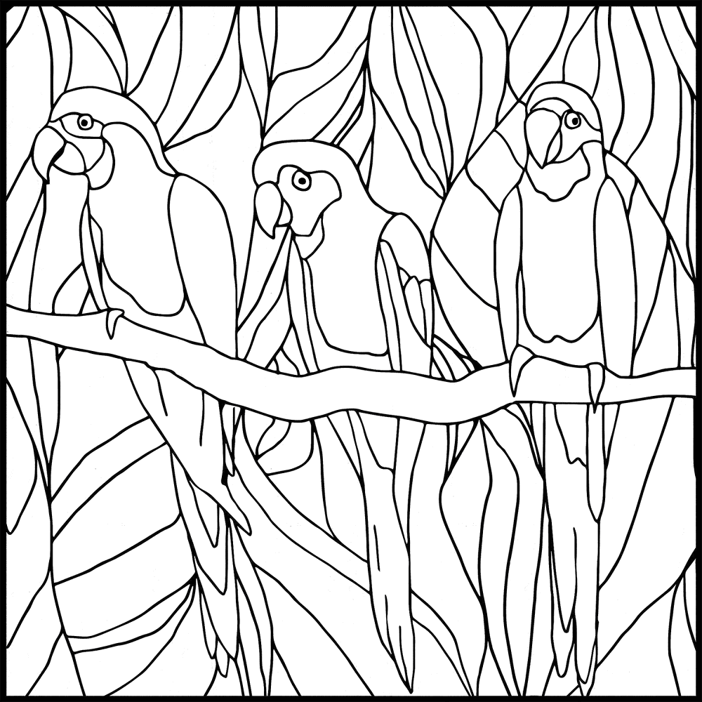 Desenho de Papagaios para colorir