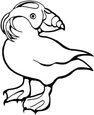 Desenho de Papagaios para colorir