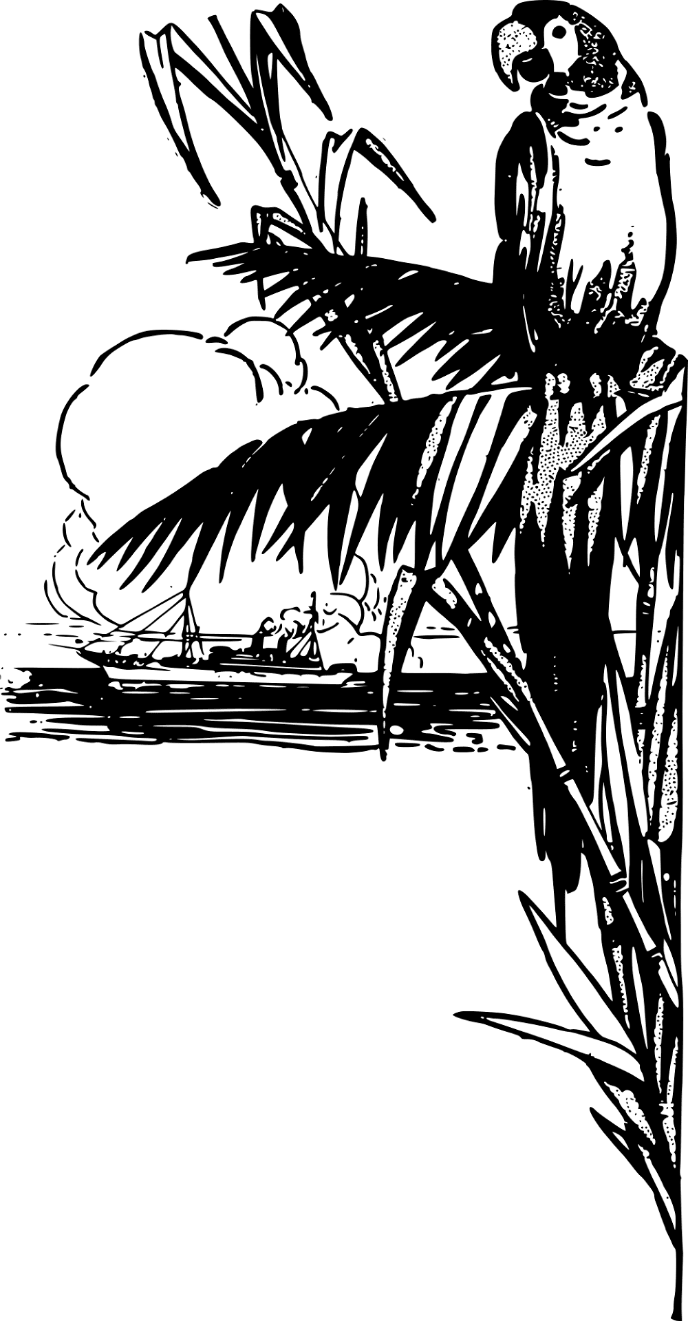 Desenho de Papagaios para colorir
