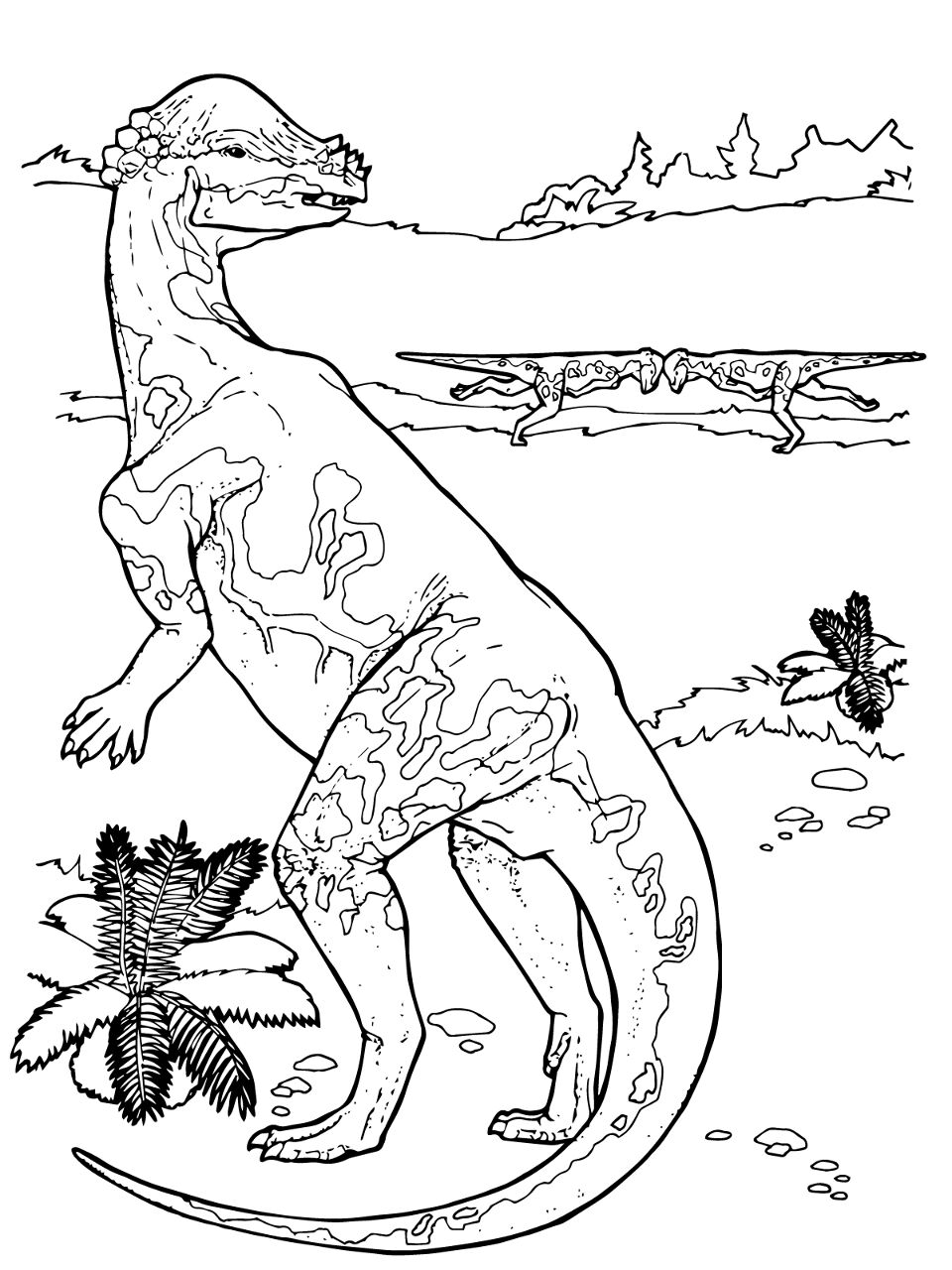 Desenho de Paquicefalossauro para colorir e imprimir: número 3