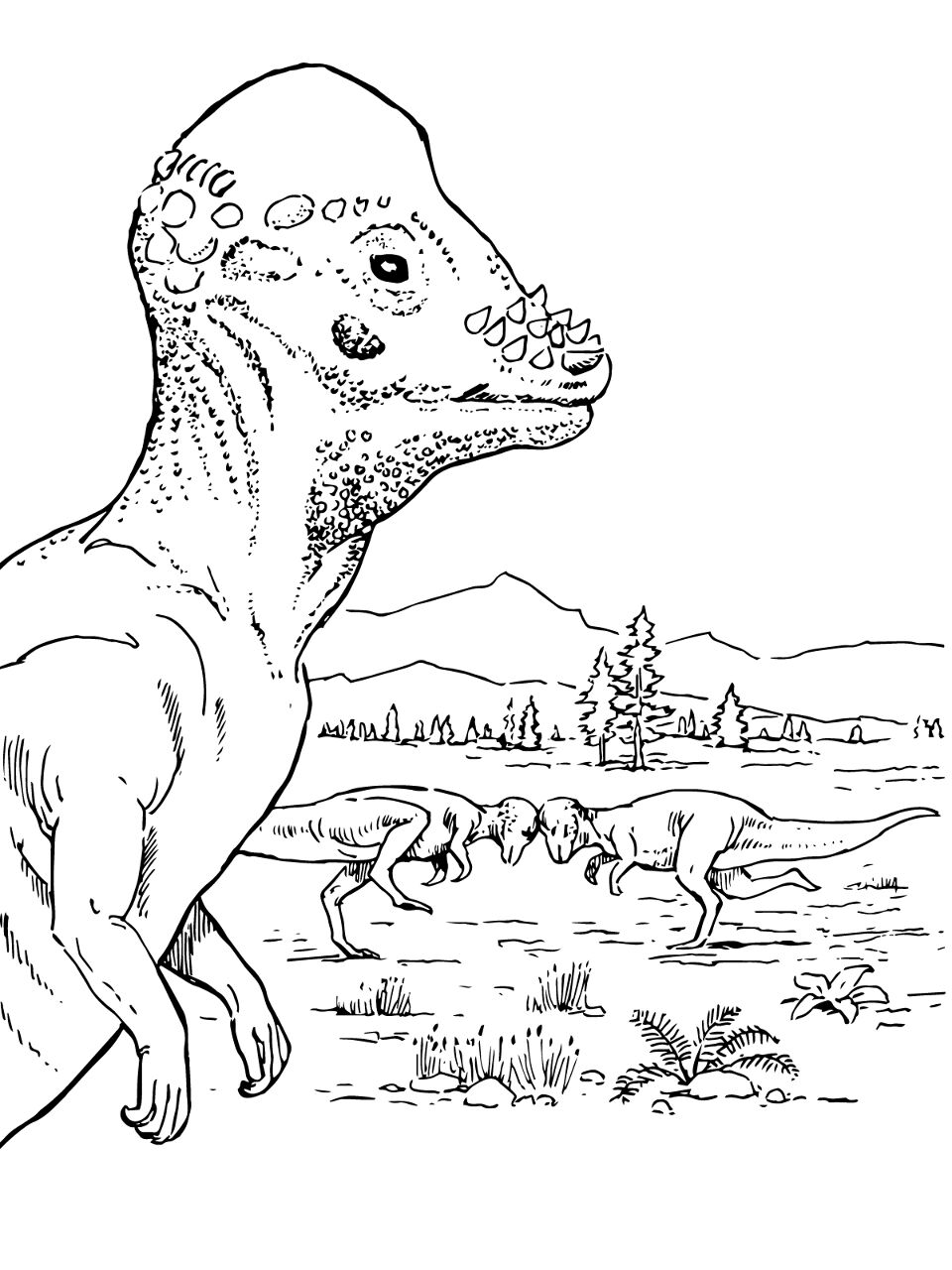 Desenho de Paquicefalossauro para colorir e imprimir: número 6