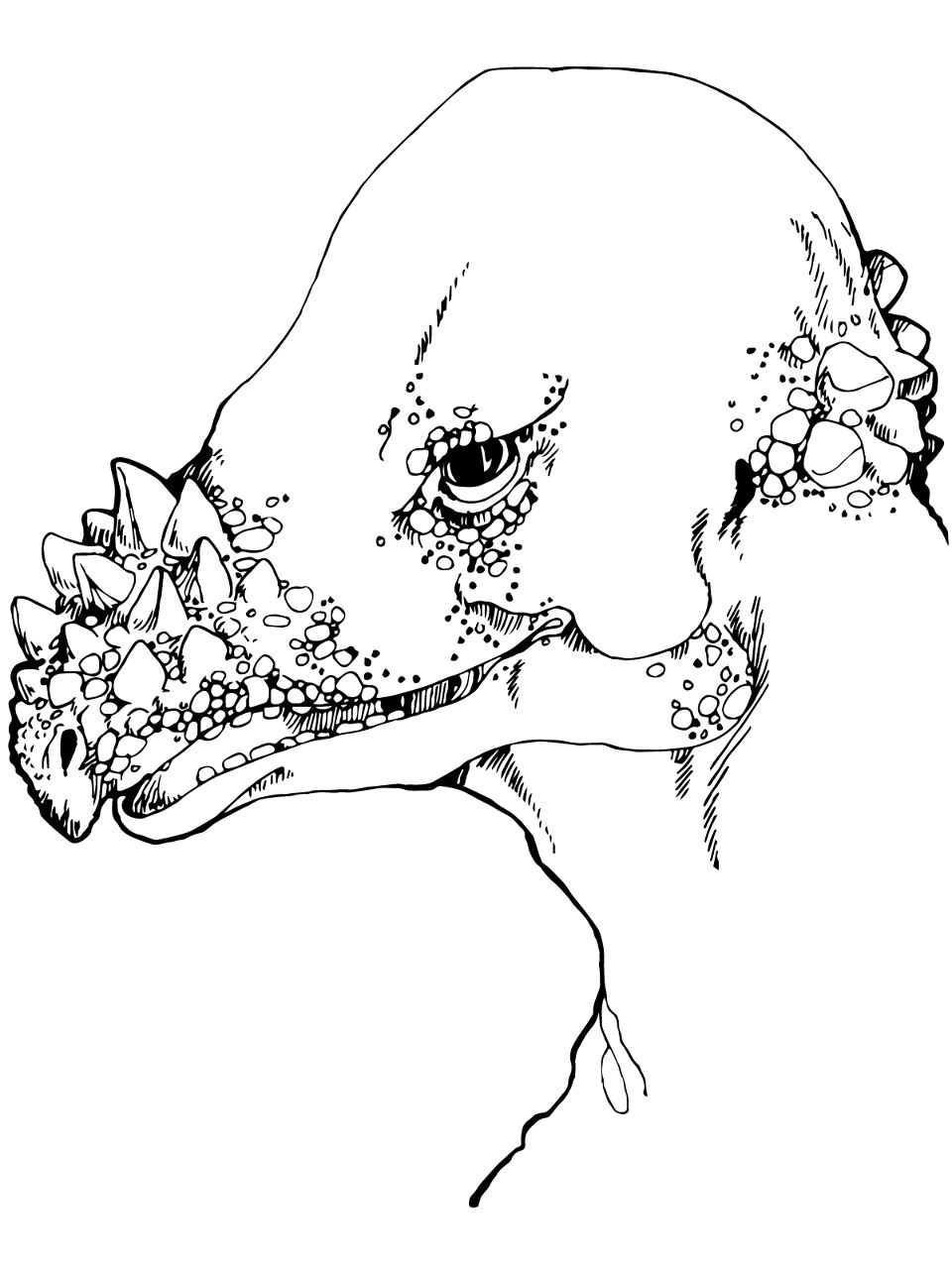 Desenho de Paquicefalossauro para colorir e imprimir: número 8