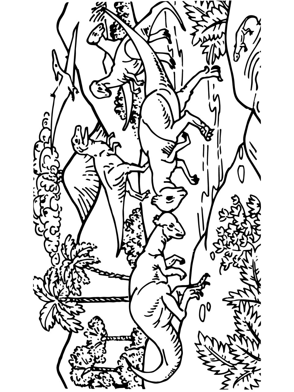 Desenho de Paquicefalossauro para colorir e imprimir: número 16