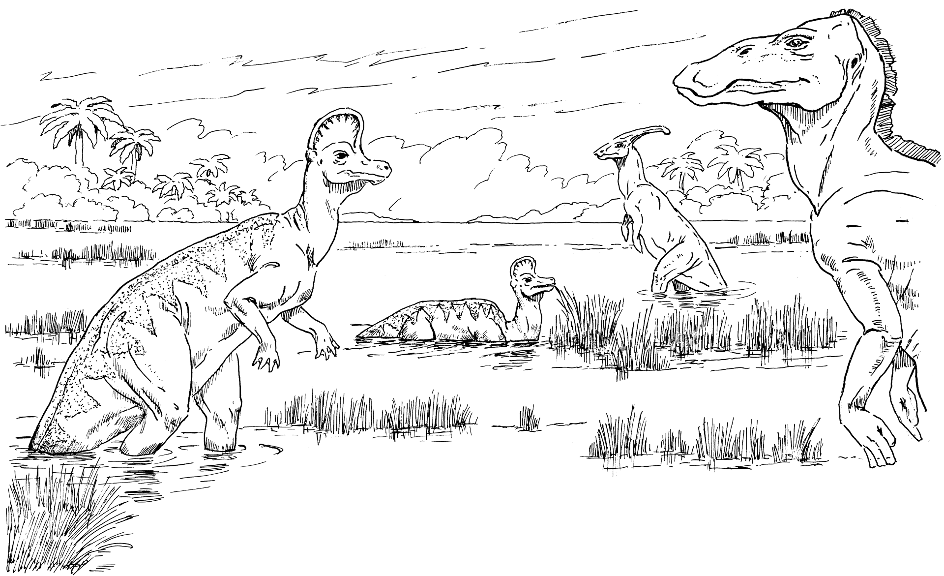 Desenho de Parassaurolofo para colorir e imprimir: número 22