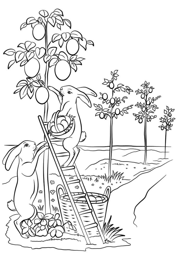 Desenho de Páscoa para colorir e imprimir: número 11