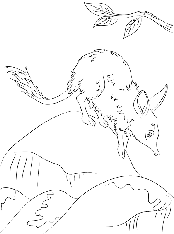 Desenho de Páscoa para colorir e imprimir: número 20