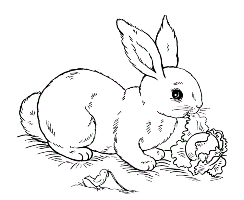 Desenho de Páscoa para colorir e imprimir: número 24