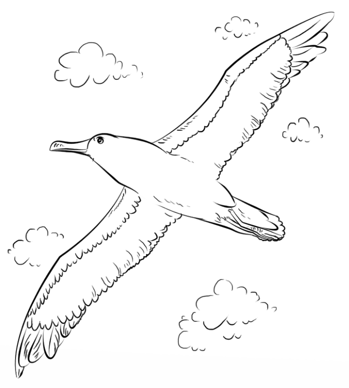 Desenho de Pássaros para colorir e imprimir: número 3