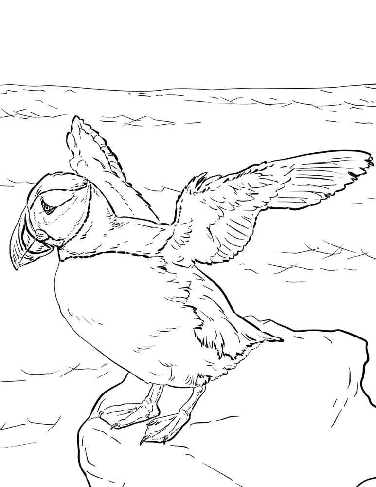 Desenho de Pássaros para colorir e imprimir: número 6