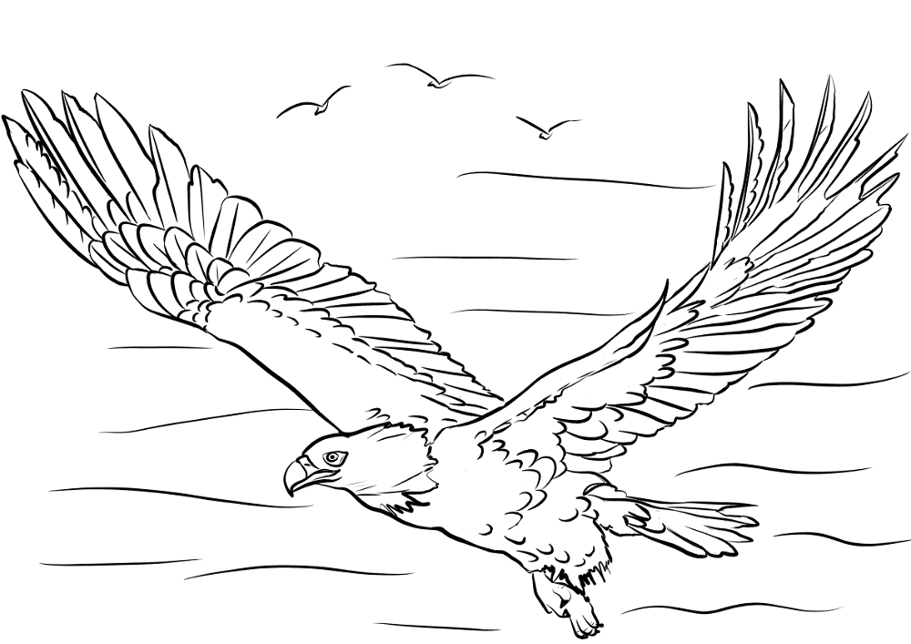 Desenho de Pássaros para colorir e imprimir: número 7
