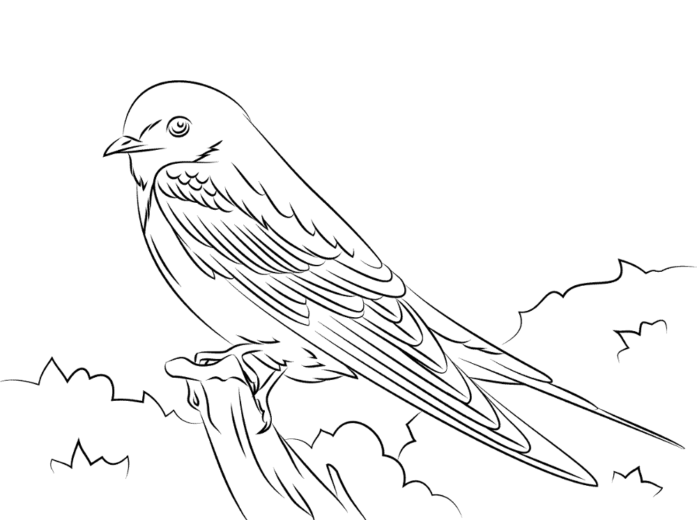 Desenho de Pássaros para colorir e imprimir: número 9