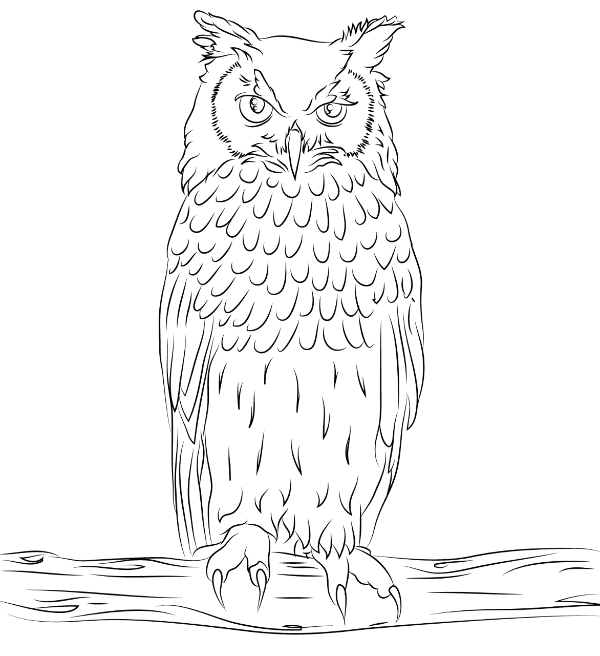 Desenho de Pássaros para colorir e imprimir: número 12