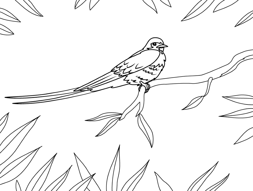 Desenho de Pássaros para colorir e imprimir: número 14