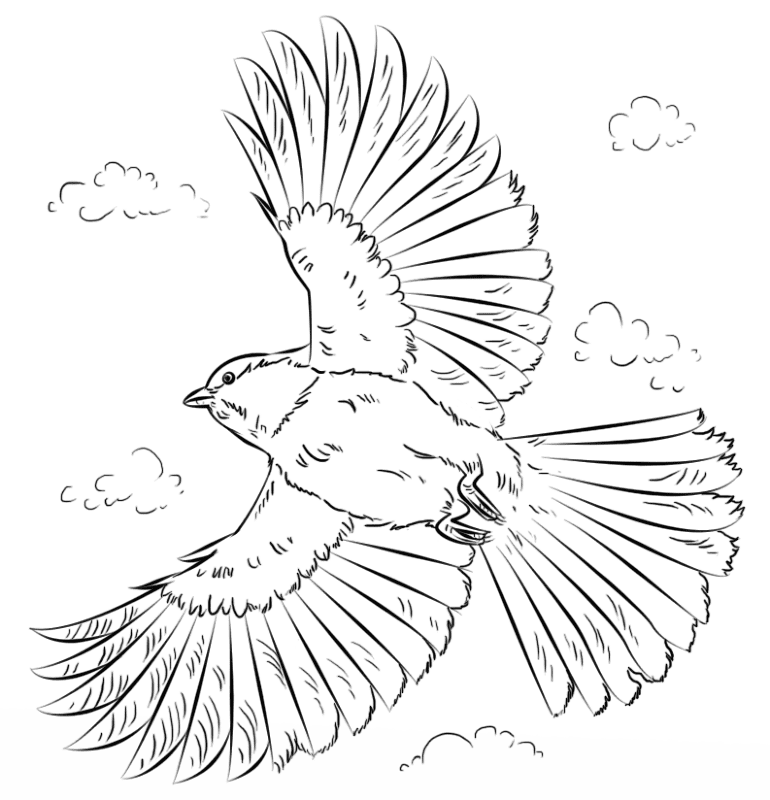Desenho de Pássaros para colorir e imprimir: número 20