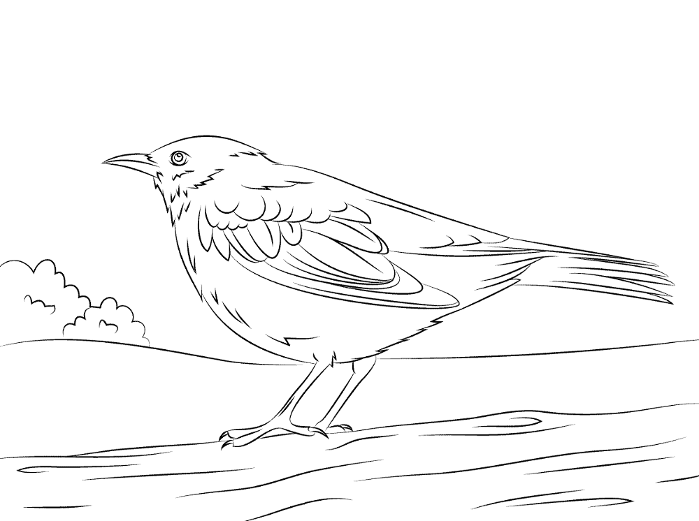 Desenho de Pássaros para colorir e imprimir: número 21