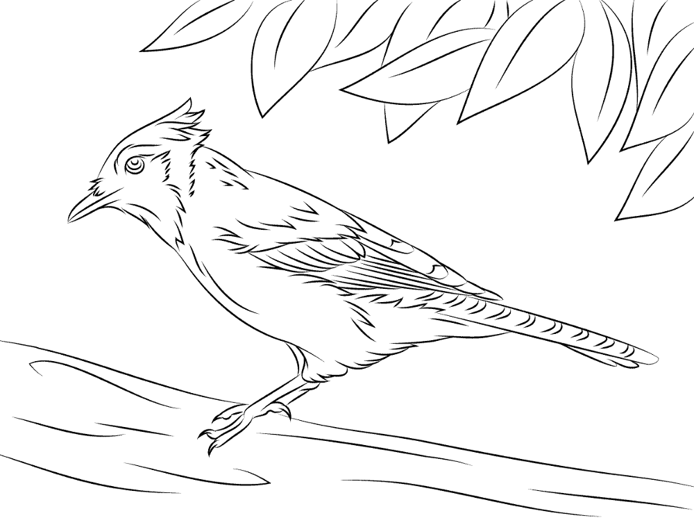 Desenho de Pássaros para colorir e imprimir: número 24