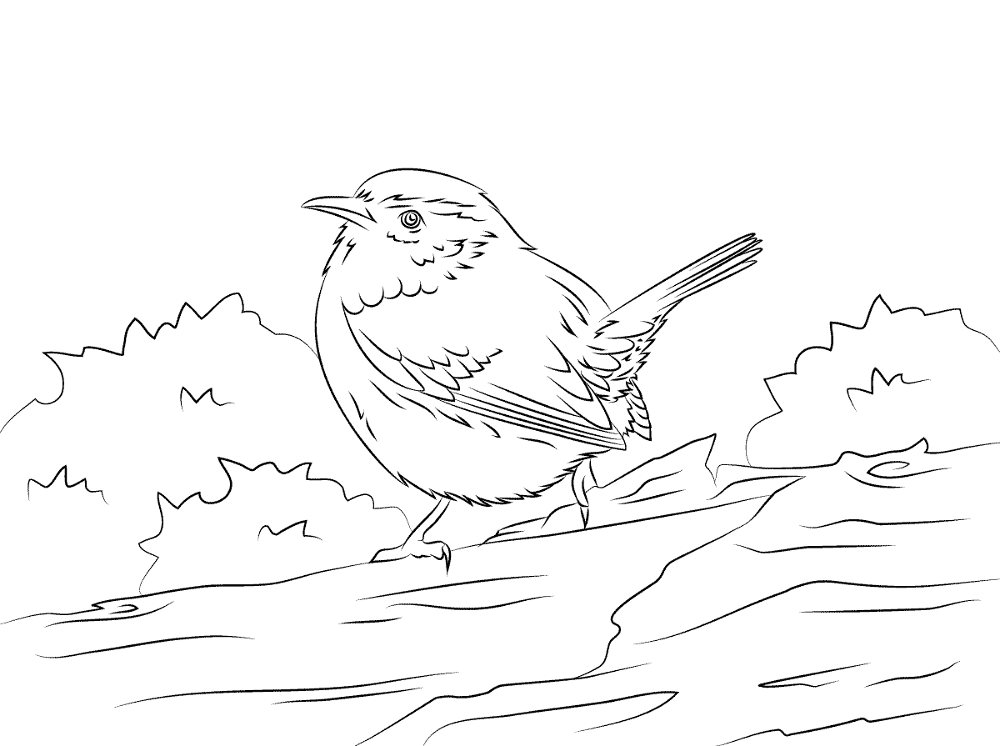 Desenho de Pássaros para colorir e imprimir: número 25